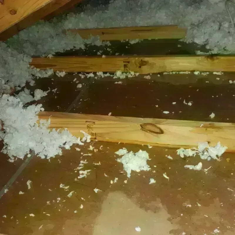 Attic Water Damage in Valley Center, CA