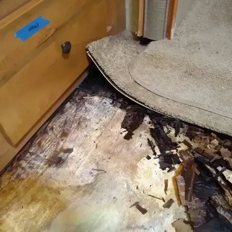 Wood Floor Water Damage in Valley Center, CA